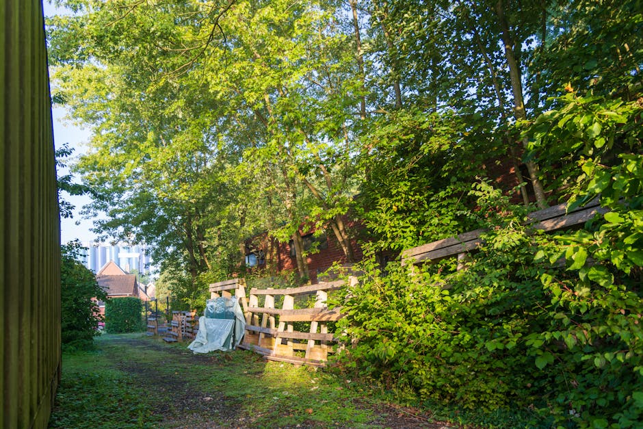 An outdoor scene showing a narrow, grassy pathway bordered by a wooden fence on the right side and a green vertical surface on the left. Overgrown bushes and leafy trees with bright green foliage domi