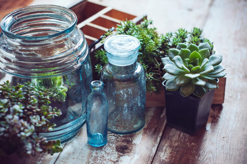 Unlock the Potential of your Household to Save the Environment Through Waste Collection